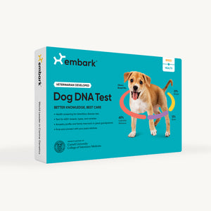 Blue breed and health dog dna test
