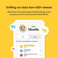 Embark Dog DNA Test +  Shelter Program