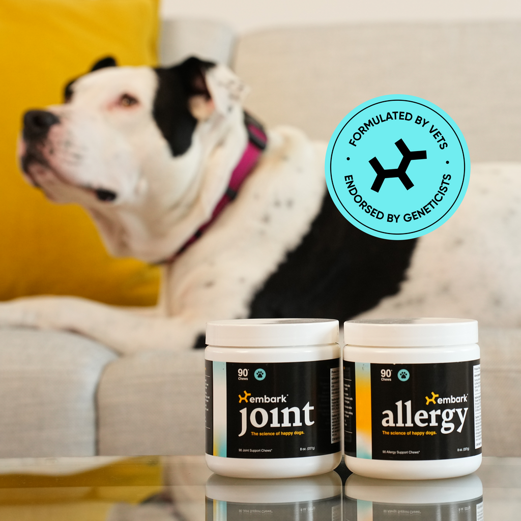 Embark allergy supplement for dogs and joint supplement for dogs
