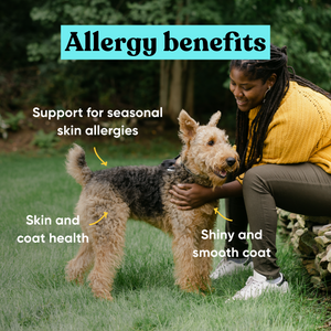 Embark allergy supplement for dogs benefits