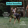 Embark joint supplement for dogs benefits