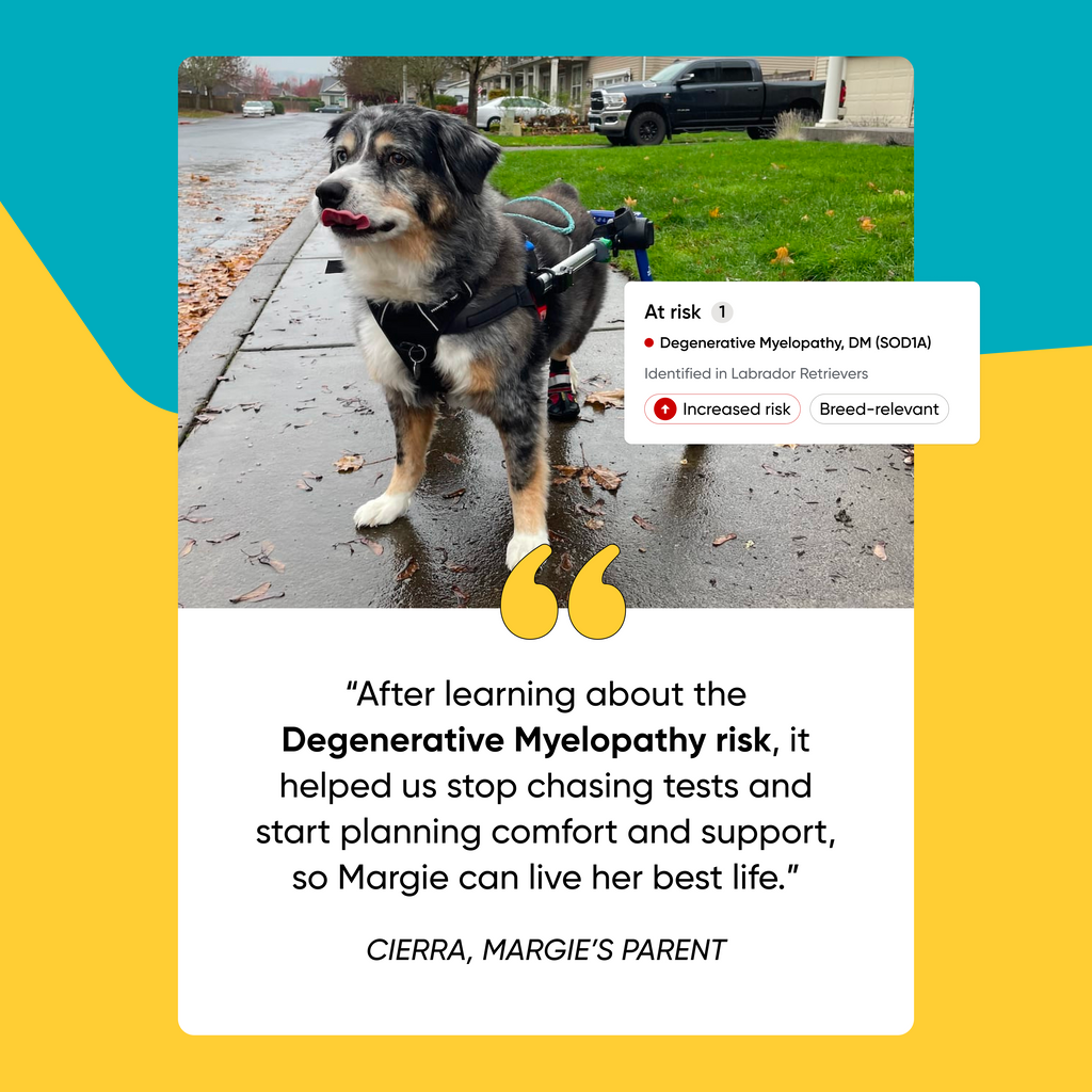 Testimonial for total health upgrade. Margie learned about her degenerative myelopathy risk, which helped with planning support for comfort. 