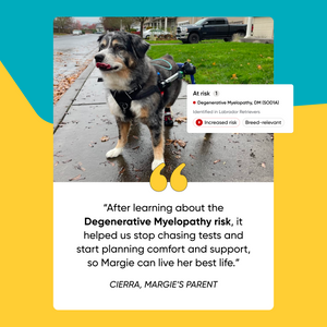 Testimonial for total health upgrade. Margie learned about her degenerative myelopathy risk, which helped with planning support for comfort. 