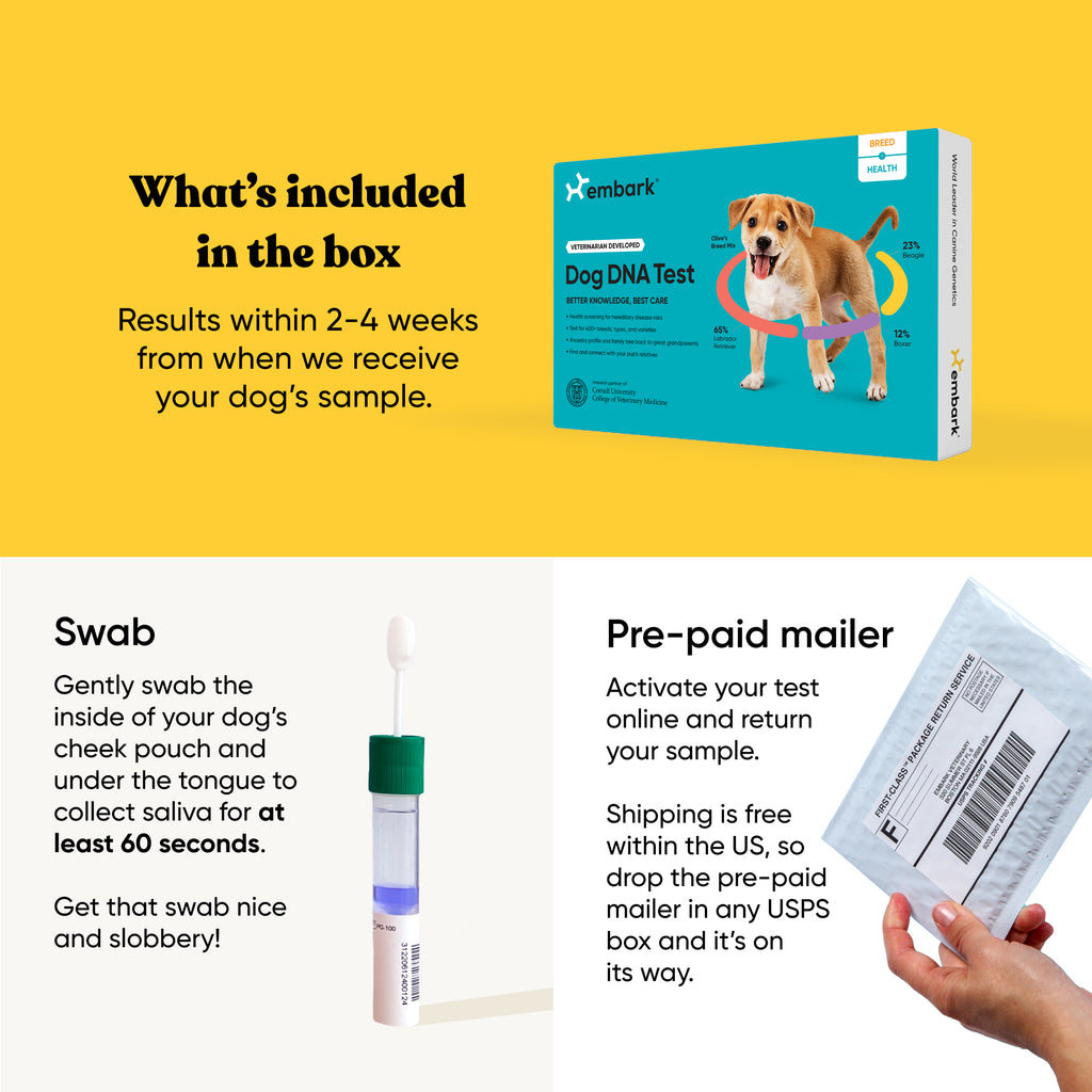 Whats included in a dog dna box? A swab and a prepaid mailer