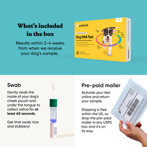 Dog DNA test kit with swab and pre-paid mailer on a blue background