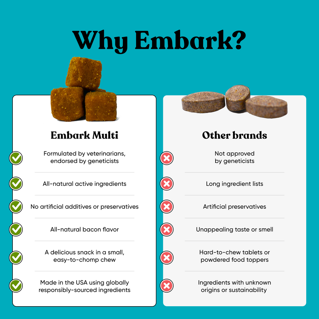 Why is embark supplement for dogs better