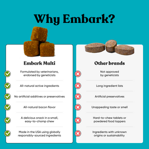 Why is embark supplement for dogs better