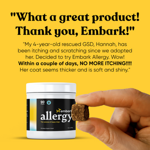 Embark allergy review showcasing reduction in dogs itching