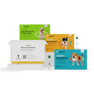 Embark Dog DNA Test kit showing multiple components including a white activation box, a green test box for purebred pets, an orange test box, and a blue test box, all featuring dog illustrations and the Embark brand logo.