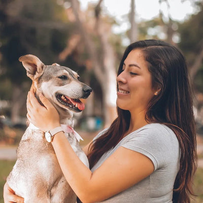 How to Care for Your Dog at Every Life Stage