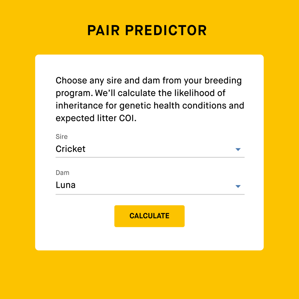dog breeding pair predictor tool