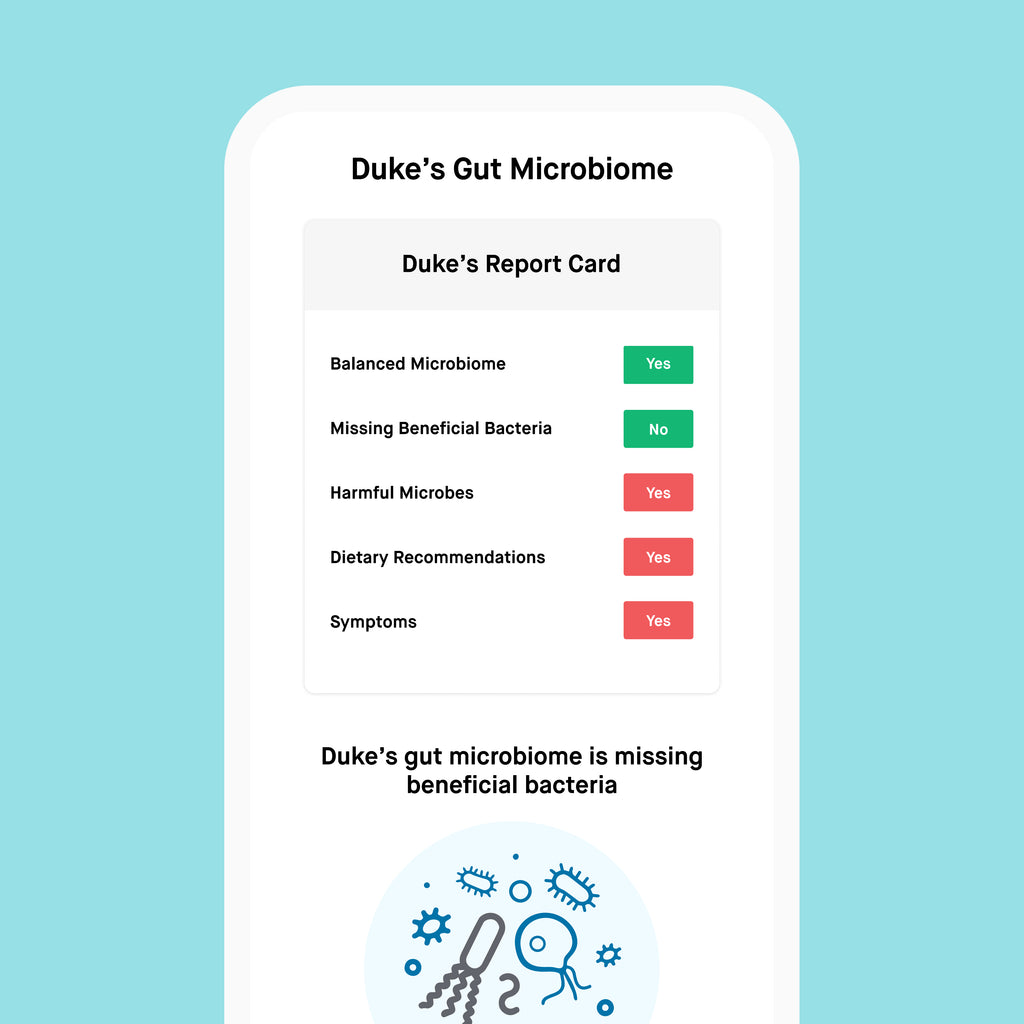 dog gut health microbiome test result