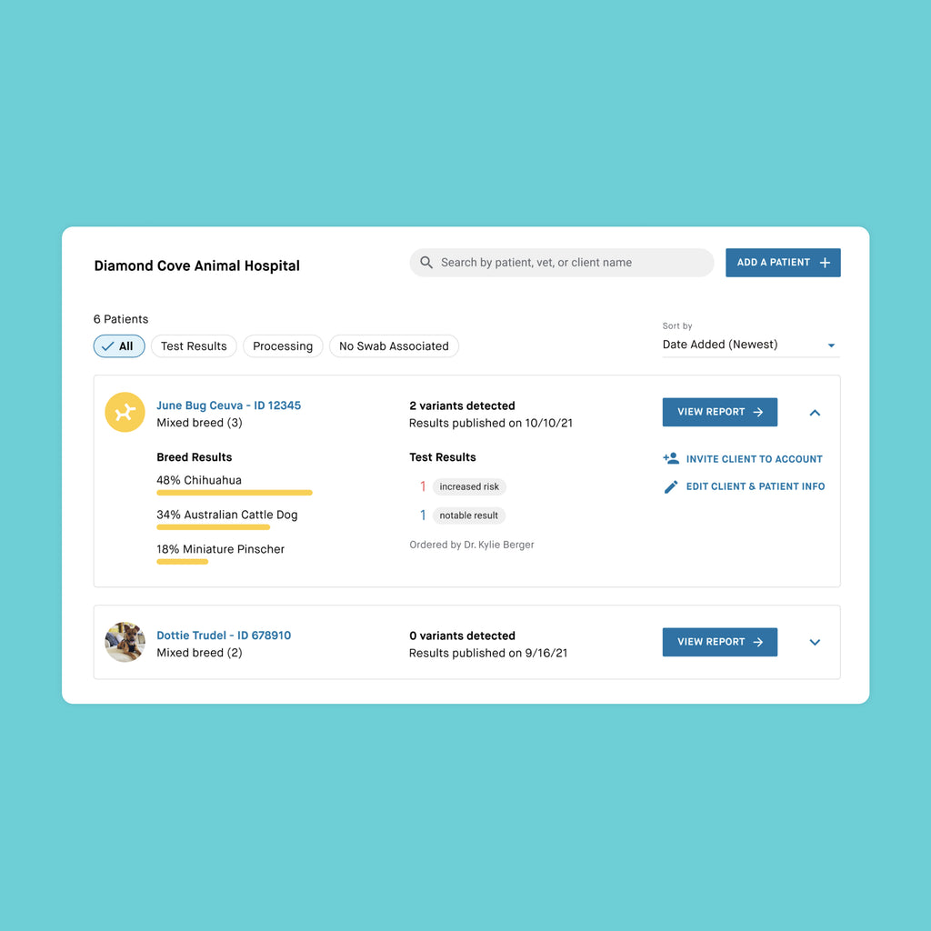 dashboard for embark vet dna test results
