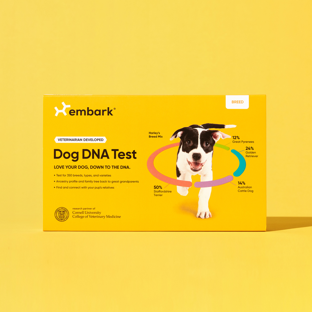 Embark UK dog DNA test kits